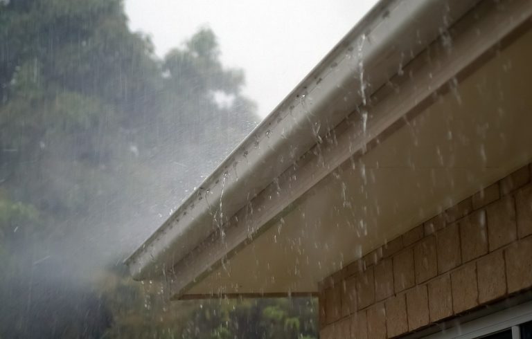 Why You Should Clean Your Gutters Before Winter | Peter L ...